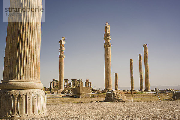 Iran  Persepolis  Säulen des Apadana-Palastes
