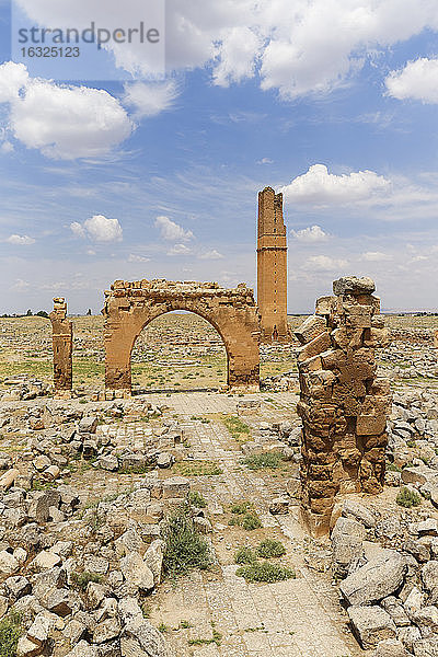 Türkei  Anatolien  Südostanatolien  Provinz Sanliurfa  Harran  Ruinen der Universität und des Minaretts von Ulu Camii