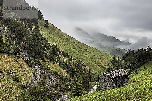 Österreich  Vorarlberg  Bregenzer Wald  Scheune bei Warth im Nebel