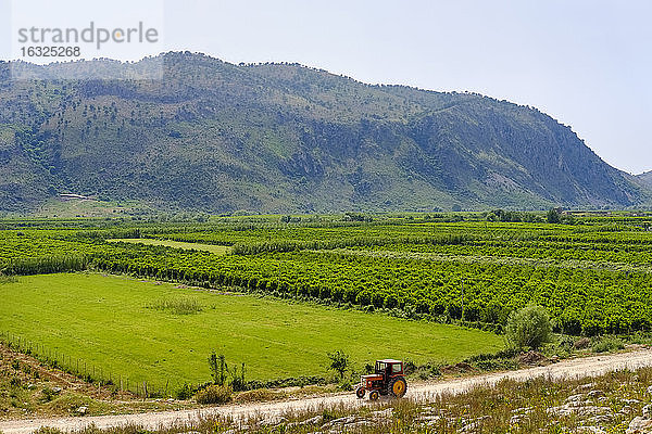 Albanien  Kreis Vlore  Konispol  Traktor und Plantagen
