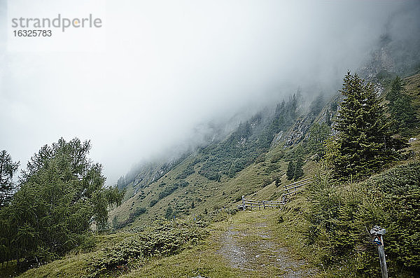 Österreich  Osttirol  Nationalpark Hohe Tauern  Berge im Nebel