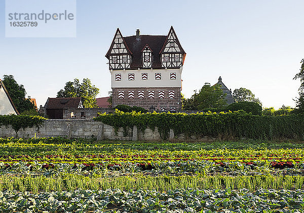 Deutschland  Nürnberg  Neunhof  Blick auf Schloss Neunhof mit Gemüsefeldern im Vordergrund