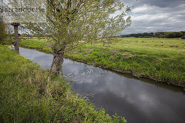 Wassergraben  Fährmannssand  Schleswig-Holstein  Deutschland  Europa