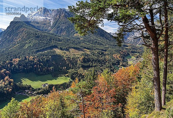 Landschaft mit Hochkalter  Ramsau  Nationalpark Berchtesgaden  Berchtesgadener Alpen  Berchtesgadener Land  Oberbayern  Bayern  Deutschland  Europa