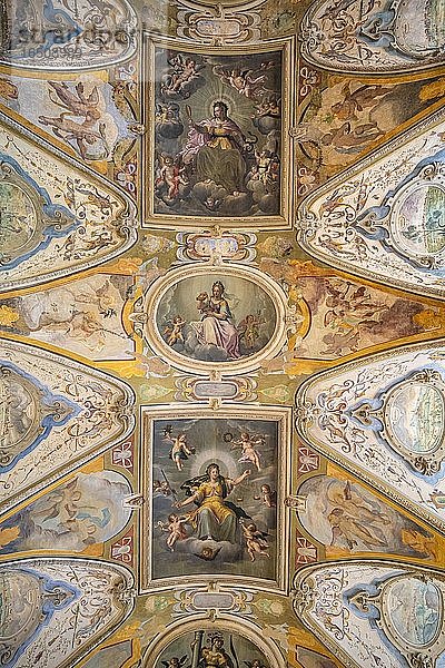 Deckengemälde  Renaissance-Gewölbe Antiquarium in der Münchner Residenz  München  Oberbayern  Bayern  Deutschland  Europa