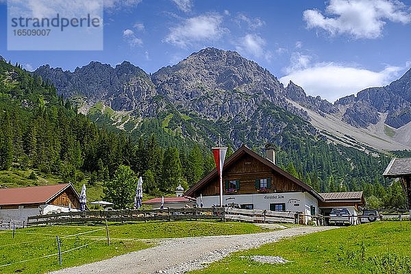 Eppzirler Alm  bei Scharnitz  Gießenbach  Karwendelgebirge  Tirol  Österreich  Europa