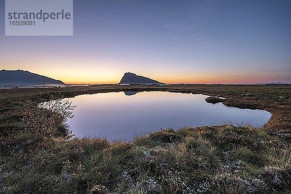 Sumpfland  Abenddämmerung spiegelt sich in kleinem rundem See  hinten Bergsilhouette am Horizont  Gimsøy  Lofoten  Nordland  Norwegen  Europa