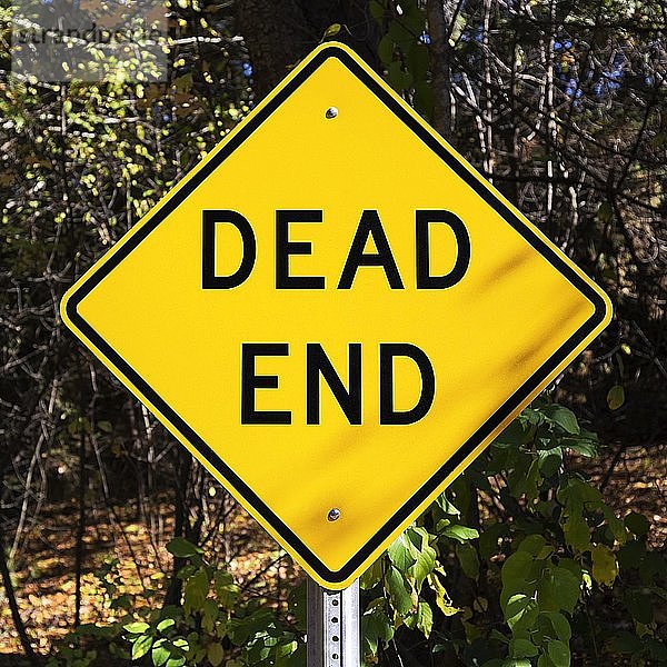Gelbes Verkehrsschild für Sackgasse  Rautenform mit dem Schriftzug Dead End vor einem Wald  Maine  USA  Nordamerika