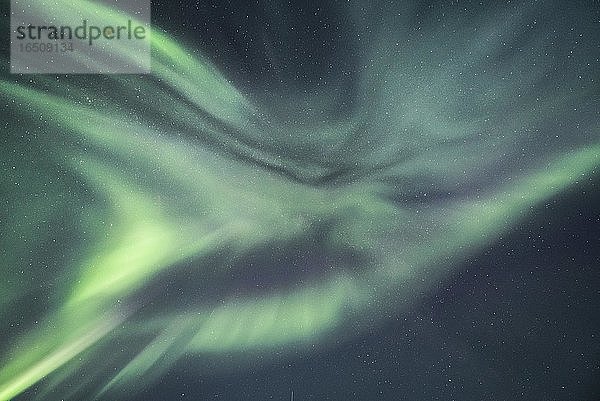 Nachtaufnahme (Aurora borealis) Sternenhimmel  Nordlichter  Polarlichter  Skutvik  Nordland  Norwegen  Europa