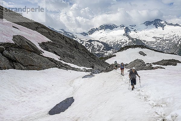 Wanderer beim Aufstieg auf Schneefeld zur Mörchnerscharte  Berliner Höhenweg  Zillertaler Alpen  Zillertal  Tirol  Österreich  Europa