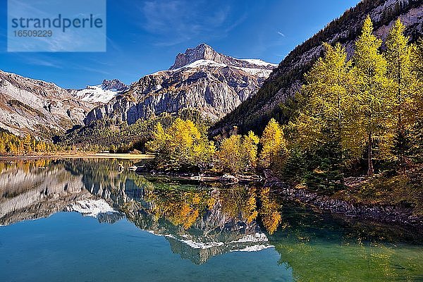 Spiegelung der Berge und herbstfarbenen Lärchen im Lac de Derborence  Kanton Wallis  Schweiz  Europa