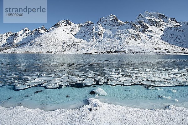 Verschneite Berge  türkises Meerwasser im Fjord mit Eisschollen unter blauem Himmel  Nordland  Lofoten  Norwegen  Europa