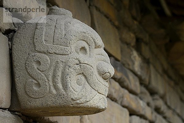 Steinkopf  halb Mensch halb Katze  an einer Mauer der Ruinen von Chavín de Huántar  Unesco Weltkulturerbe  bei Huaraz  Region Ancash  Peru  Südamerika