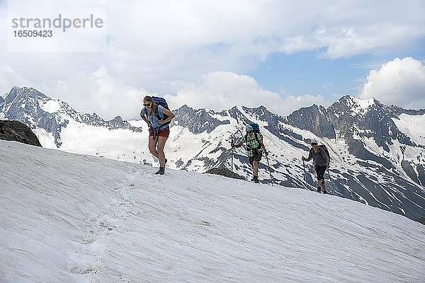 Wanderer beim Aufstieg auf Schneefeld zur Mörchnerscharte  Berliner Höhenweg  Zillertaler Alpen  Zillertal  Tirol  Österreich  Europa