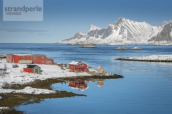 Rotes Farmhaus spiegelt sich im Fjord Rossoy Straumen  hinten weiter Ozean  verschneite Berge Hustinden und Björntinden  Nordland  Lofoten  Norwegen  Europa