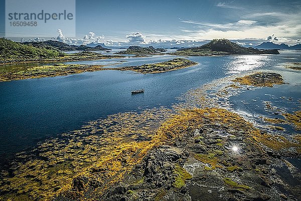 Fjordlandschaft mit kleinen Felsinseln bei Ebbe mit gelbem Seetang  kleines Holzboot zwischen Schären im Meer  Lødingen  Nordland  Lofoten  Norwegen  Europa