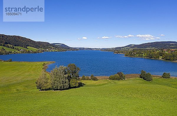 Drohnenaufnahme Irrsee  Salzkammergut  Oberösterreich  Österreich  Europa