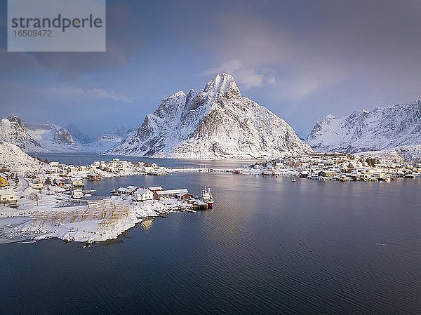 Fischerdorf Reine im Winter in der Morgendämmerung  verschneite Landschaft  Reinefjord  Moskenesøya  Nordland  Lofoten  Norwegen  Europa