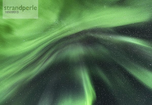 Nachtaufnahme (Aurora borealis) Sternenhimmel  Nordlichter  Polarlichter  Straumen  Nordland  Norwegen  Europa