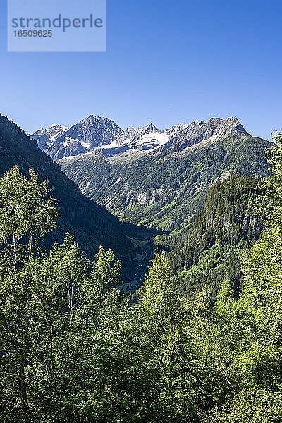 Zamser Eck  Kleiner Hochsteller  Kälberlahnerspitze und Hochsteller  Zillertaler Alpen  Zillertal  Tirol  Österreich  Europa