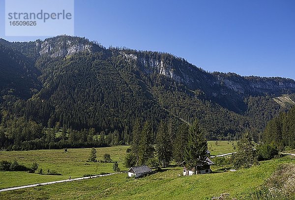 Almwiesen und Almhütten im Rettenbachtal  Bad Ischl  Salzkammergut  Oberösterreich  Österreich  Europa