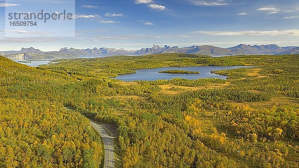 Luftaufnahme  herbstlicher Wald am Fjäll  Landstraße neben See Botnvatnet  hinten Bergkette  Hamarøy  Nordland  Norwegen  Europa