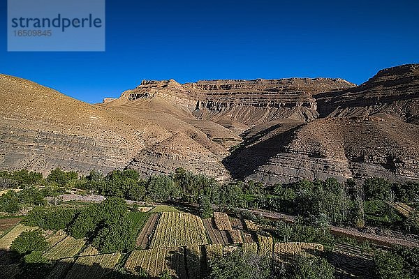Berge  Errosionslandschaft mit Flussoase und kleinen Feldern im oberen Dadestal  Oued Dades bei Msemrir  Hoher Atlas  Südmarokko  Marokko  Afrika