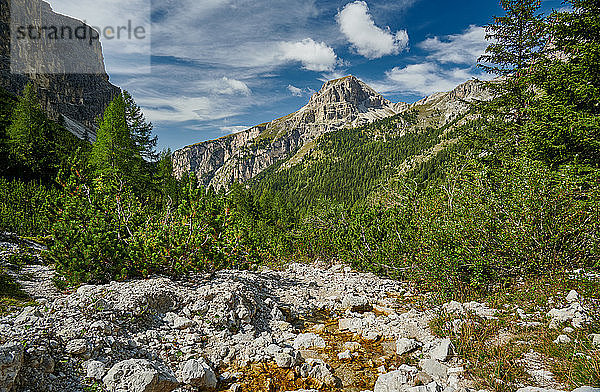 Grödnertal  Dolomiten  Südtirol  Italien  Europa