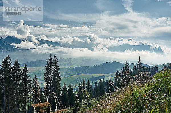 Seiser Alm  Dolomiten  Südtirol  Italien  Europa