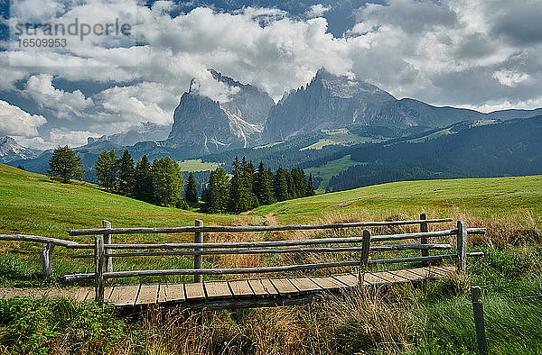 Seiser Alm  Dolomiten  Südtirol  Italien  Europa