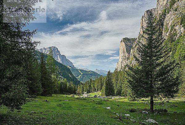 Langental  Dolomiten  Südtirol  Italien  Europa