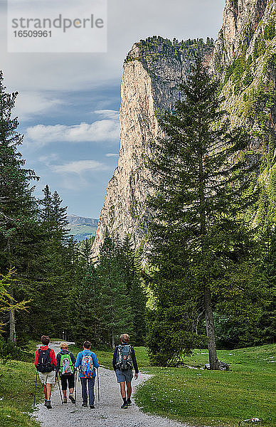 Langental  Dolomiten  Südtirol  Italien  Europa