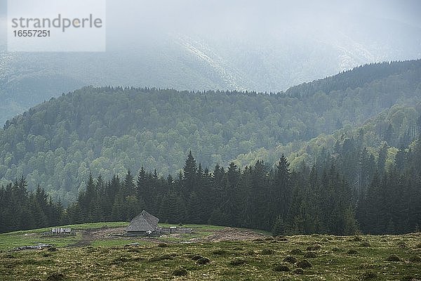 Neblige Landschaft in den Parang-Bergen bei Ranca  Karpaten  Region Oltenia  Rumänien
