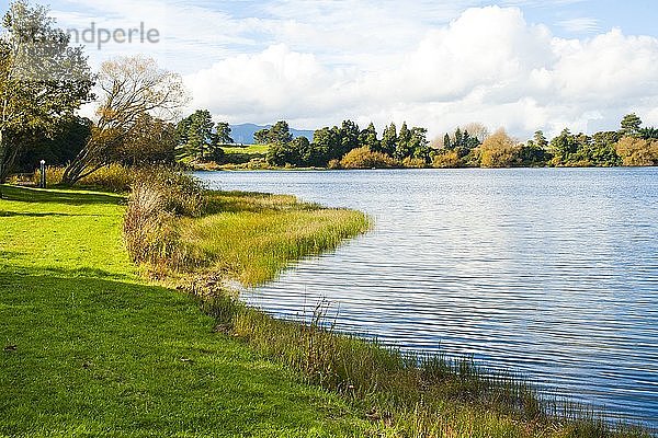 See in der Waikato-Region bei Taupo  Nordinsel  Neuseeland