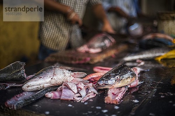 Fisch zu verkaufen in Mapusa Market  Goa  Indien