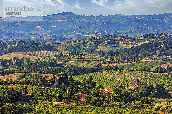 in der Nähe von San Gimignano  Provinz SIena  Toskana  Italien. Typische Landschaften. Weinberge und Bauernhäuser.