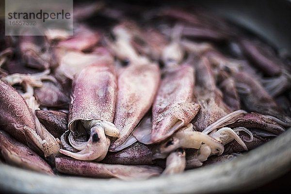 Tintenfisch zum Verkauf auf dem Morgenmarkt in Hpa An  Kayin State (Karen State)  Myanmar (Burma)