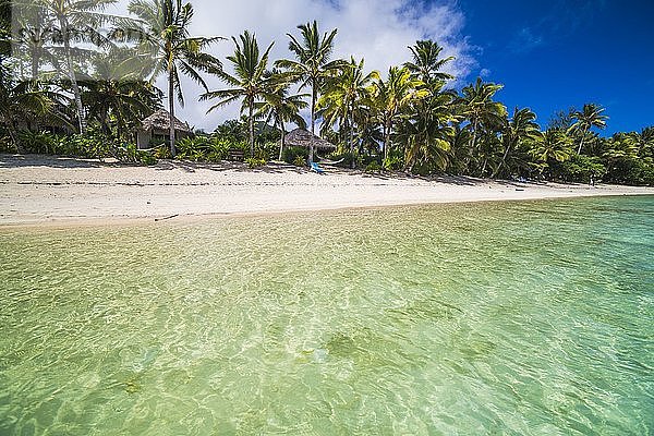 Kristallklares Wasser des Pazifischen Ozeans und tropischer weißer Sandstrand mit Palmen in Titikaveka  Rarotonga  Cookinseln Hintergrund mit Kopierraum
