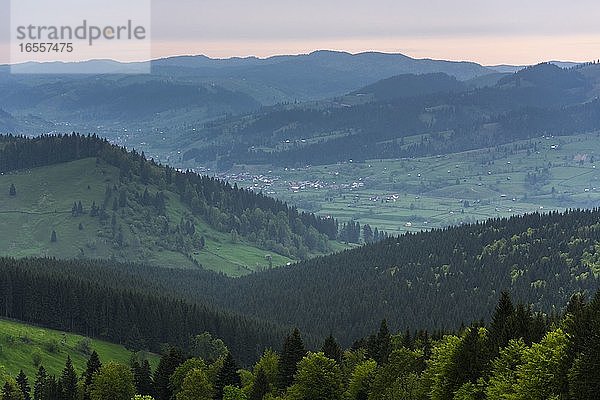 Landschaft der Region Bukowina (Bucovina) bei Sonnenaufgang  Paltinu  Rumänien