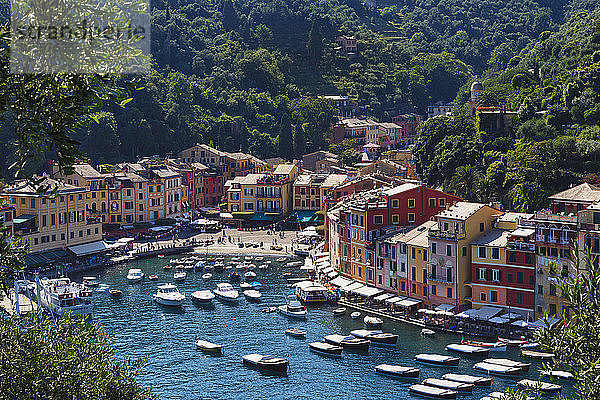 Portofino  Provinz Genua  Italienische Riviera  Italien. Der Hafen.