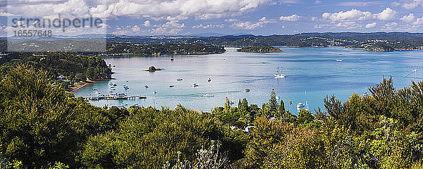 Bay of Islands vom Flagstaff Hill in Russell  Northland Region  Nordinsel  Neuseeland