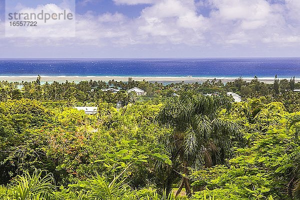 Tropischer Palmen-Dschungel mit blauem Pazifischen Ozean im Hintergrund  auf Rarotonga  Cook-Inseln  Südpazifik