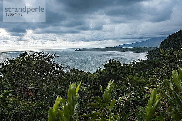 Sintflutartiger Regensturm im Regenwald von Uvita  Provinz Puntarenas  Pazifikküste von Costa Rica