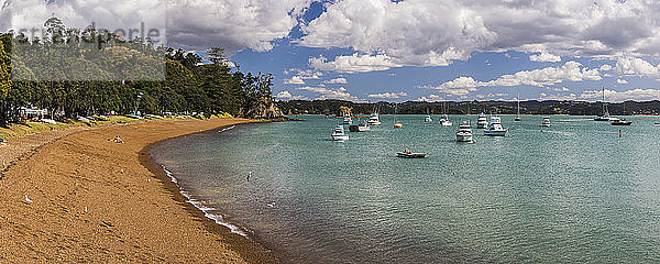 Boote im Russell Harbour  Bay of Islands  Region Northland  Nordinsel  Neuseeland