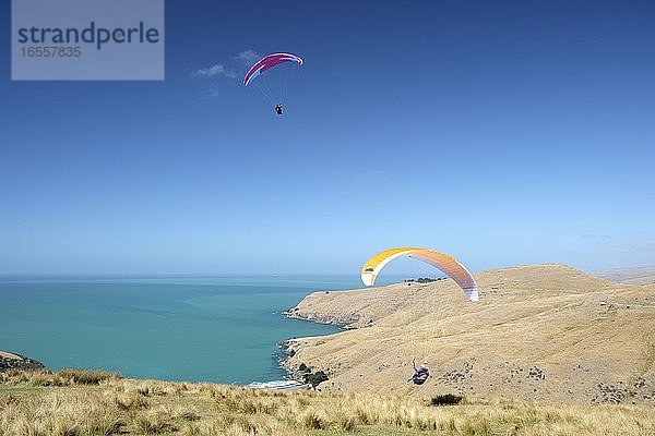 Hängegleiter  Scarborough Hills Preserve  Sumner  Christchurch  Südinsel  Neuseeland