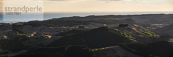 Sanfte Hügel in der Landschaft von Hastings/Napier  gesehen vom Te Mata Peak bei Sonnenaufgang  Region Hawkes Bay  Nordinsel  Neuseeland