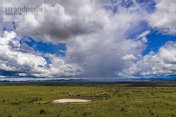 El Karama Ranch  Bezirk Laikipia  Kenia Drohne