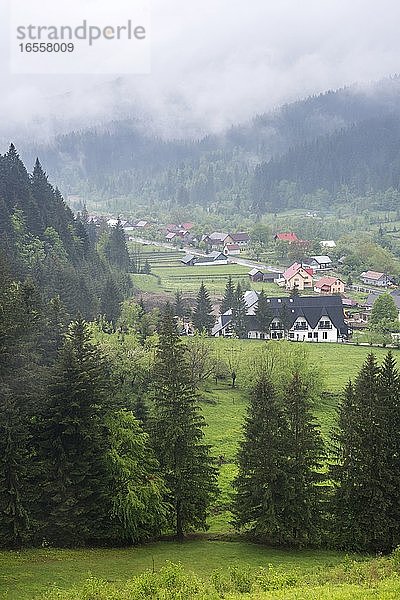 Neblige rumänische Waldlandschaft in der Umgebung des Klosters Sucevita  Region Bukowina  Rumänien