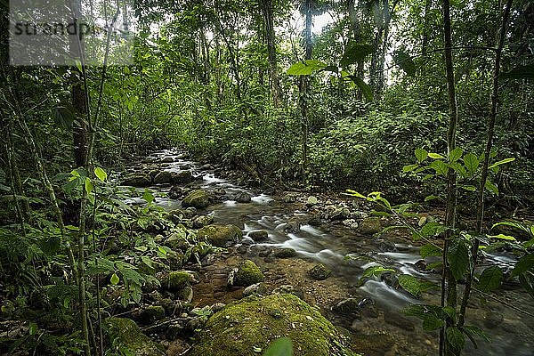 Fluss Burio (Rio Burio)  La Fortuna  Arenal  Provinz Alajuela  Costa Rica