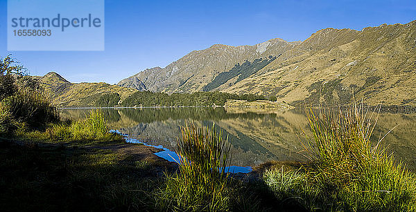 Panoramafoto der frühmorgendlichen Reflektionen am Lake Moke  Queenstown  Südinsel  Neuseeland. Der Lake Moke  10 km von Queenstown entfernt  ist nicht nur ein wunderschöner See  sondern auch ein Campingplatz des Department of Conservation (DOC)  der sowohl für Wohnwagen als auch für Wohnmobile zugänglich ist. In den frühen Morgenstunden ist der Lake Moke oft vollkommen still und bietet perfekte Spiegelungen der umliegenden Hügel und Berge im Wasser. Die Kombination aus einer fabelhaften goldenen Stunde  wenn die Sonne über den Hügeln aufgeht  dem Morgennebel  der vom See aufsteigt  und den satt orangefarbenen Herbstbäumen machte diese Nacht auf dem Lake Moke Department of Conservation Campsite (DOC-Campingplatz) zu etwas ganz Besonderem.